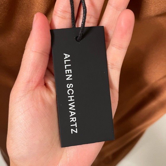 Silk Dress - Picture 6 of 11